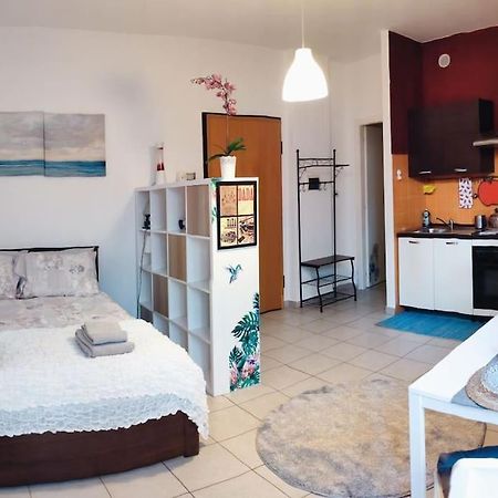 Casa Dora - Terrazzo In Centro Διαμέρισμα Τορίνο Εξωτερικό φωτογραφία